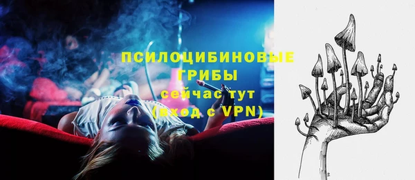 хмурый Бородино