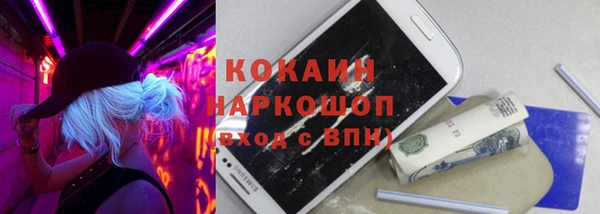 хмурый Бородино