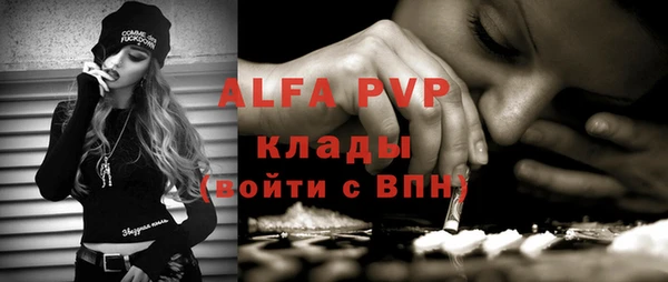хмурый Бородино