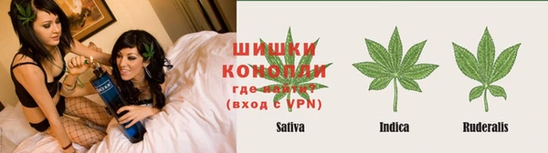 хмурый Бородино