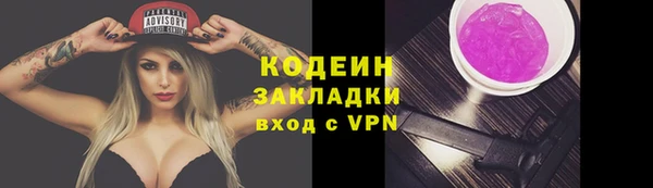 хмурый Бородино