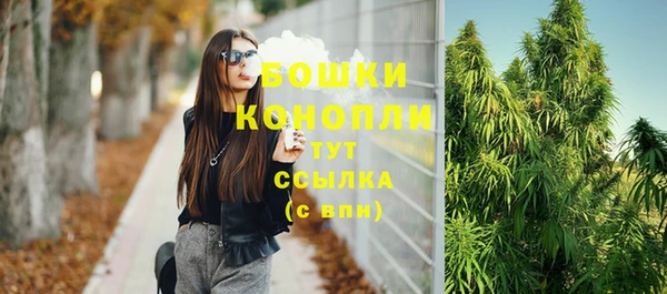 хмурый Бородино