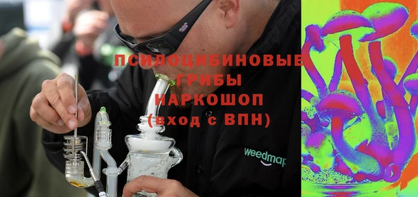хмурый Бородино