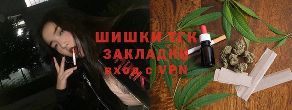хмурый Бородино