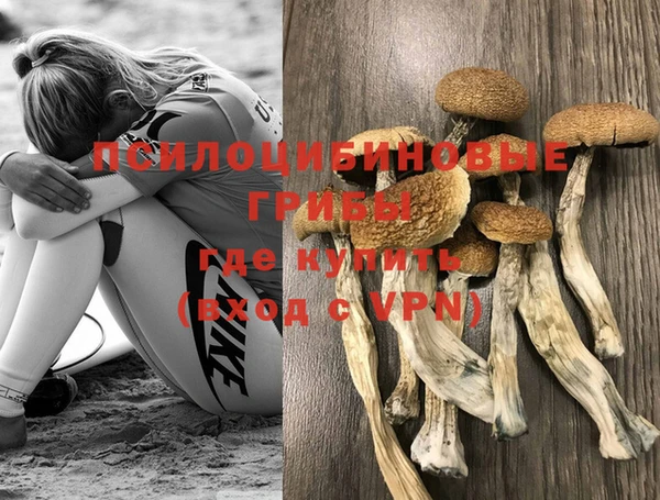 хмурый Бородино
