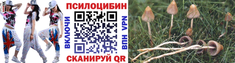 Купить  Очёр  Галлюциногенные грибы Magic Shrooms 
